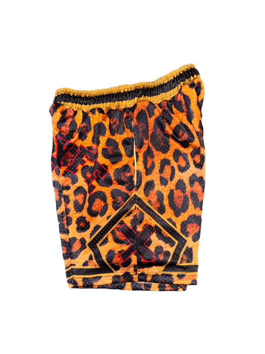 BIKELYFE Shorts - Leopard Print