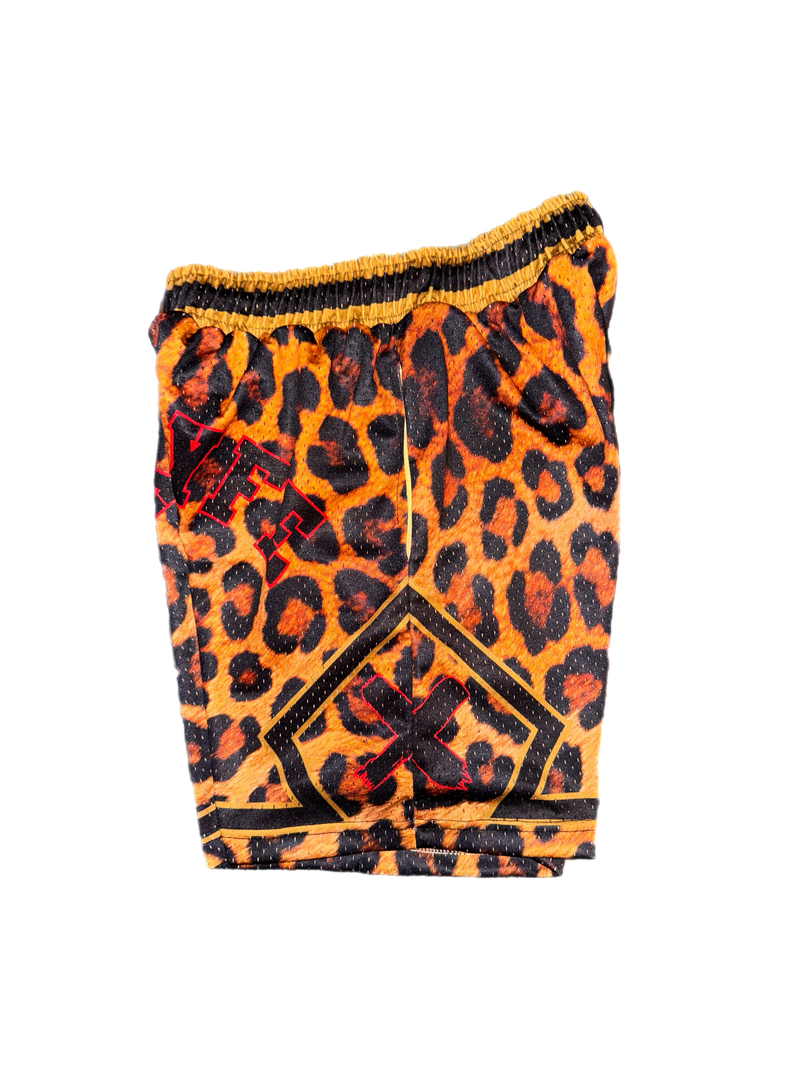 BIKELYFE Shorts - Leopard Print